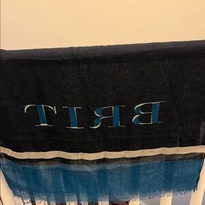 Black and Blue Sheer Scarf